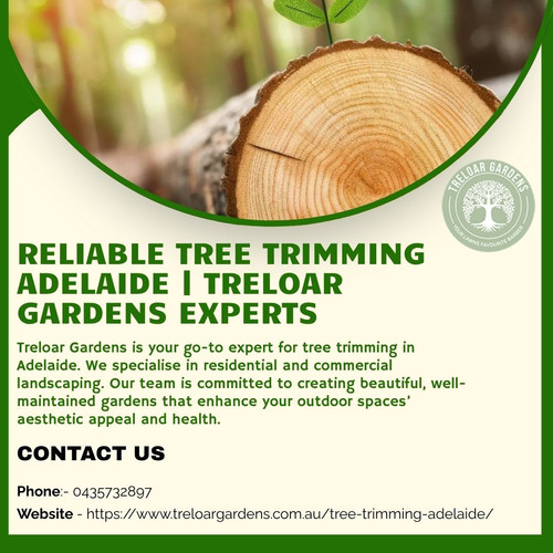 Reliable Tree Trimming Adelaide Treloar Gardens Experts.jpg
