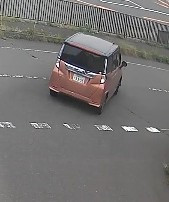 1000090319.jpg