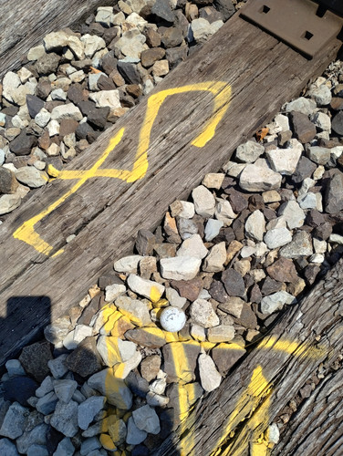 IMG 20250703 144118493 HDR.jpg