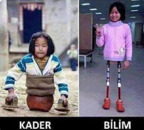 Gu8kSh8XkAATKQu.jpg