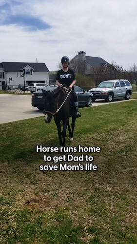 SWkRes0wd2lOYsM .jpg