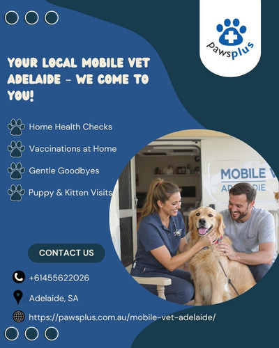 Your Local Mobile Vet Adelaide – We Come to You!.jpg