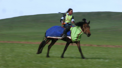 vlcsnap 2025 07 03 11h42m04s935.png