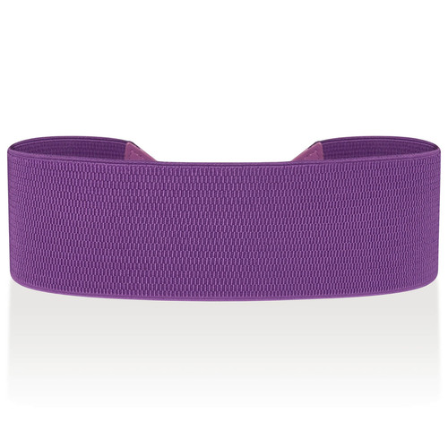 Ro Rox Pumpkin Belt Halloween Purple 3.jpg