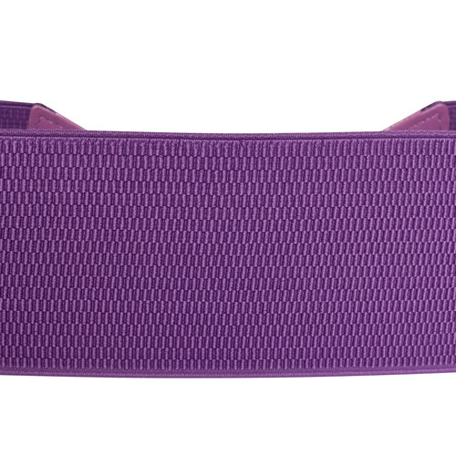 Ro Rox Pumpkin Belt Halloween Purple 4.jpg