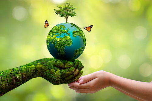 world environment 768x512.png