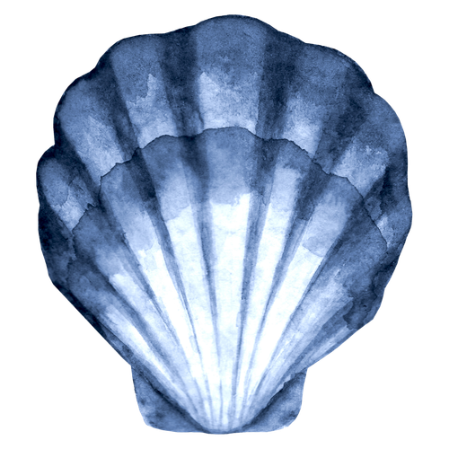 6.png