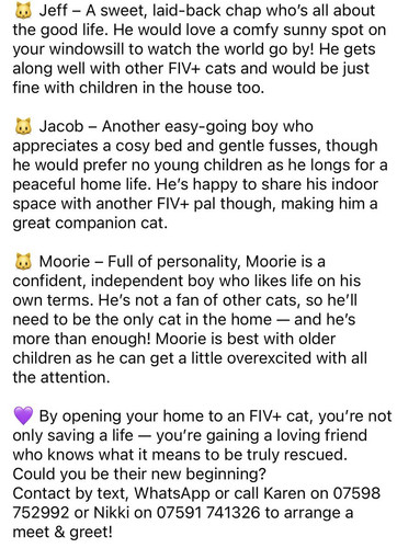 Gu78OOEWYAA4qtV.jpg