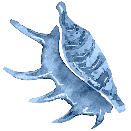 12.png