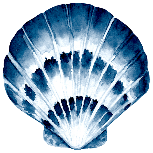 7.png