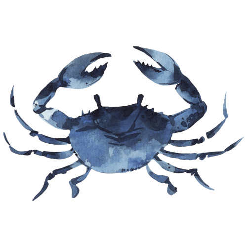 8.png