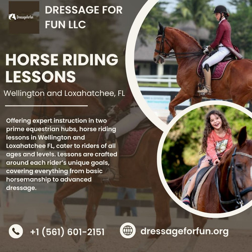 Horse riding lessons.jpg