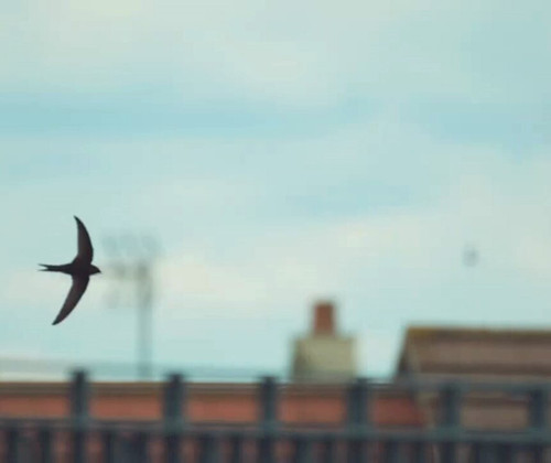 V 7pMOfguN0X37Lv.jpg