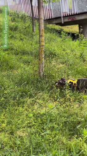 Vw FYdXGJeqLJZtA.jpg