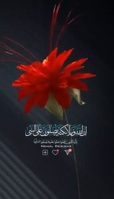 tMIy9TPw G8cqFuX.jpg