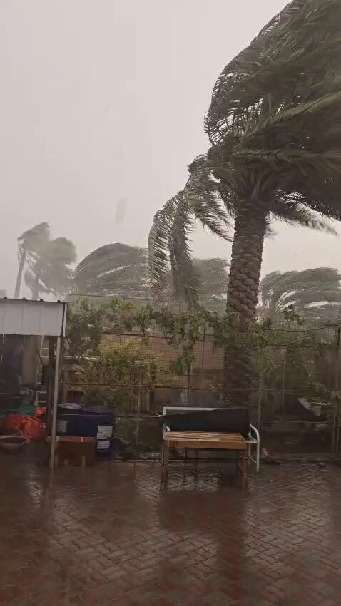 4ED65WMx2 YEVsu6.jpg