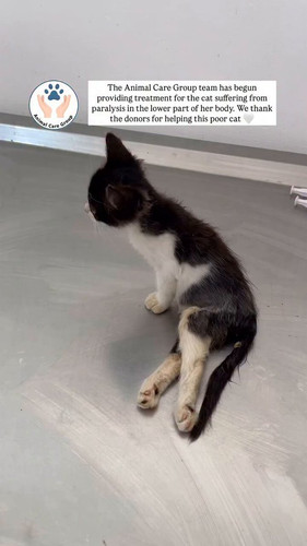 y7ia FbKCkxjdVt3.jpg