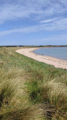 1G8 X5RA5 ZGl61A.jpg