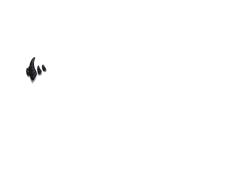 IMG 4266.png
