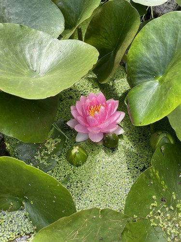 Gu4nsExXEAAsZx0.jpg