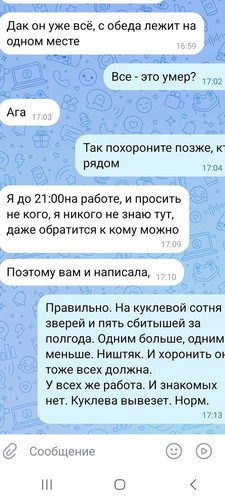 Guxy7IOXgAAmIOh?format=jpg.jpg