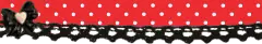 IMG 3928.png