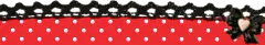 IMG 3927.png