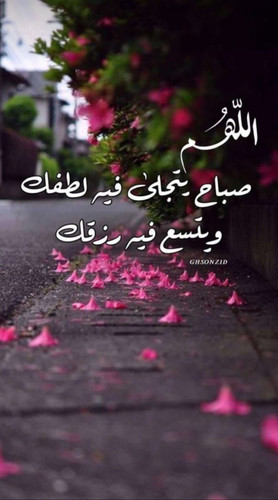 Gu6J791W8AAfd8C.jpg