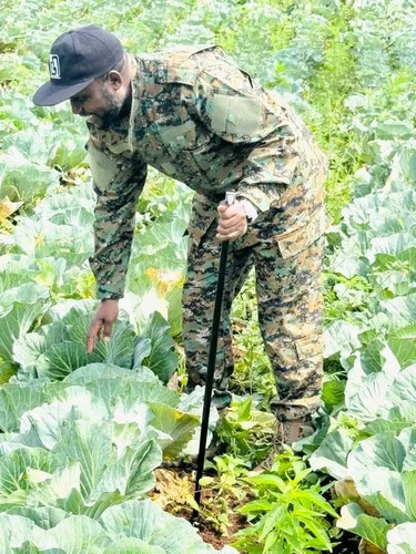Gu3VXq4XwAAf 3u.jpg