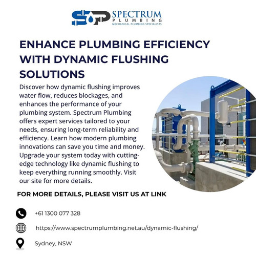 Enhance Plumbing Efficiency with Dynamic Flushing Solutions.jpg