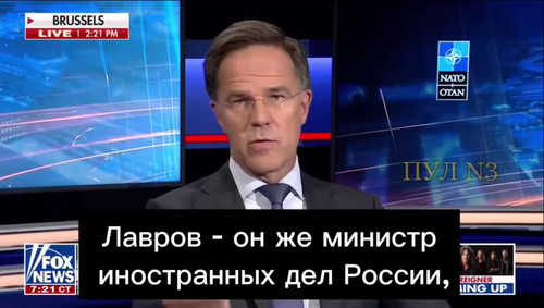 tRtpSVh1d5bGfQQ2.jpg