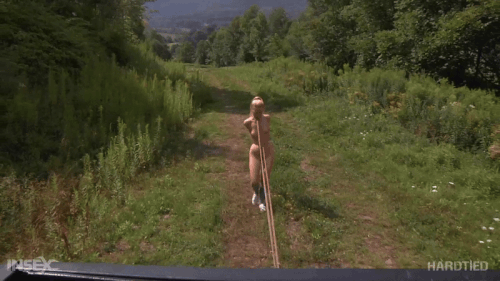 mezgif 5e9132ede12924.gif
