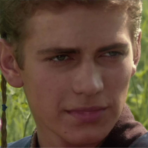 anakin 01.jpg