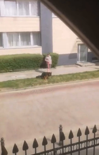 VdFz 7PxJhVrUmd1.jpg
