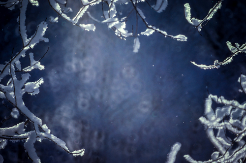 frostbg.png