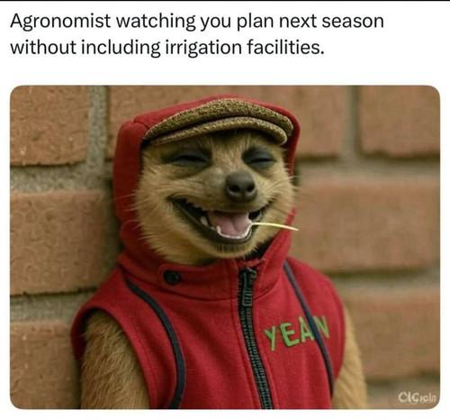 Gu12UAEXoAArDff.jpg