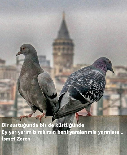 GuJeaC XIAAe Vy.jpg