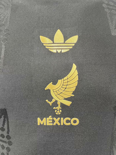 Mexico 2025 2.jpg