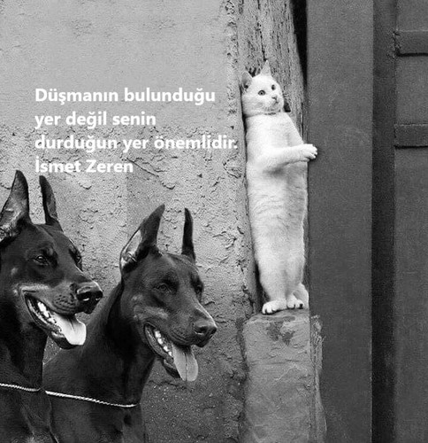 GuLmyitWMAAzcd0.jpg