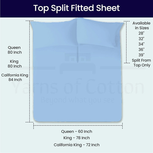 LIGHTBLUE 06.jpg