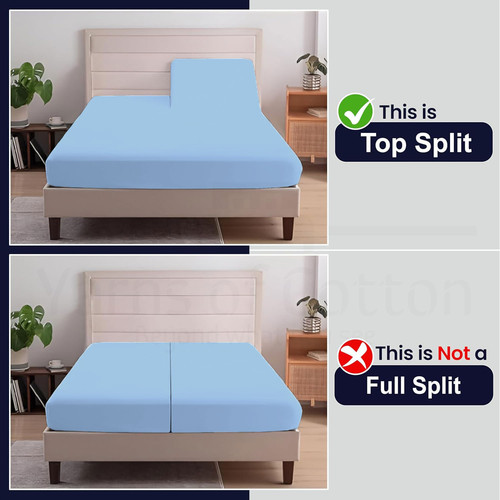LIGHTBLUE 05.jpg