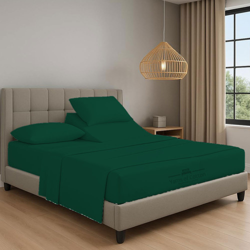 OLIVE 01.jpg