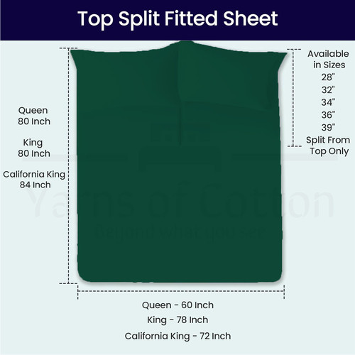 OLIVE 06.jpg