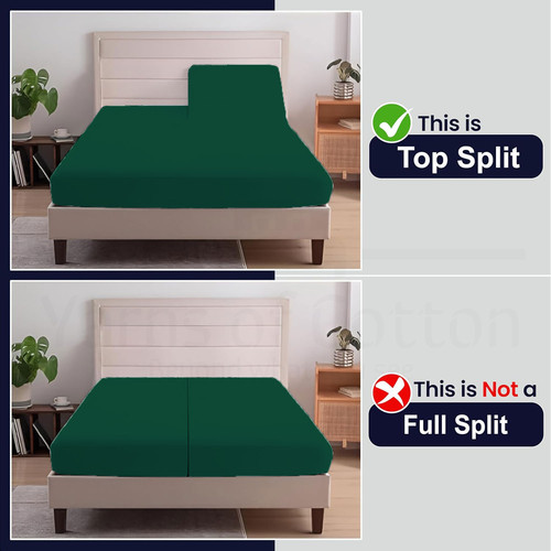 OLIVE 05.jpg