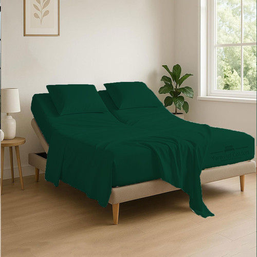 OLIVE 02.jpg