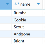2. CASE WHEN example 2 results