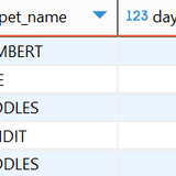 6. Nested Query JOIN clause