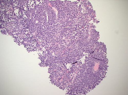 GufA 2NaoAIgEzv?format=jpg.jpg