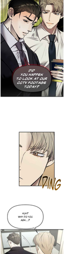 11.png