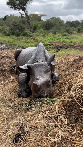 XhMhcI WR4JCMJ B.jpg